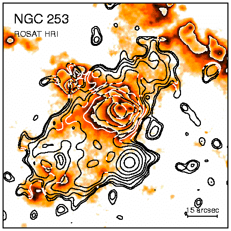 [ROSAT HRI Image of NGC 253]
