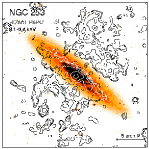 [ROSAT PSPC Image of NGC 3079]