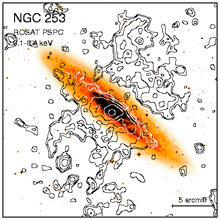 [ROSAT PSPC Image of NGC 253]