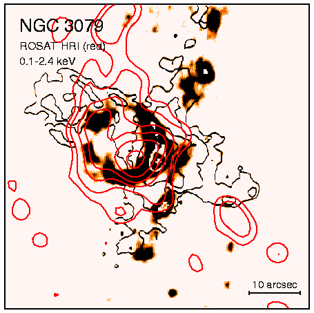 [ROSAT HRI Image of NGC 3079]