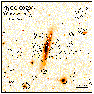 [ROSAT PSPC Image of NGC 3079]