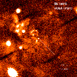 [ROSAT PSPC image of an LMC field centered on SN 1987A]