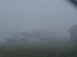 The Fog