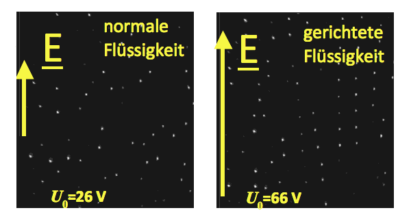 ER Fluid